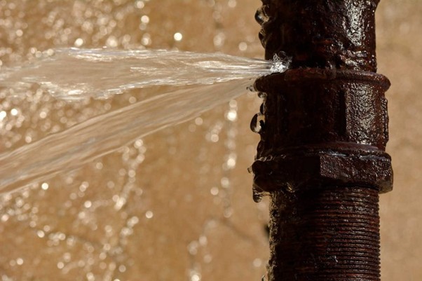 The Science of Water Damage Restoration